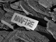 Berater aus Japan und Indonesien besuchen NMFIRE